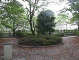 帝京若草公園