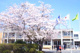 茂原市立茂原中学校の画像