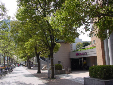 リンコス リバーシティ店の画像3