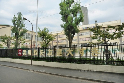 江東区立 数矢小学校の画像2