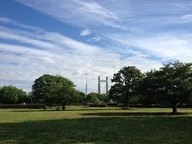 木場公園の画像