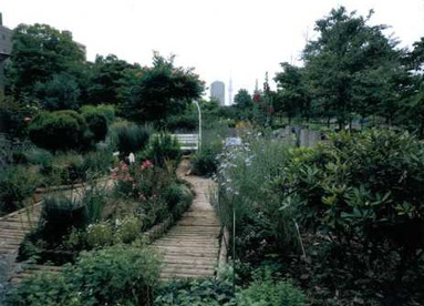 木場公園都市緑化植物園の画像2