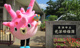 光洋幼稚園の画像