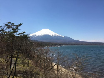 ペーパームーンの画像5