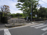 津々山台公園