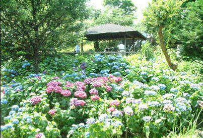 多摩川台公園の画像1