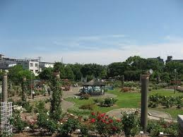 若園公園の画像1