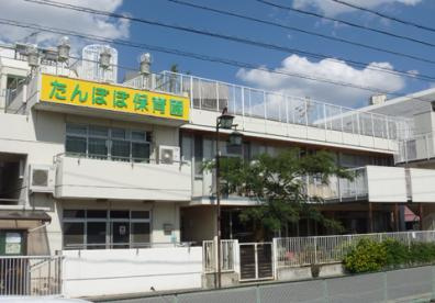 たんぽぽ保育園の画像1