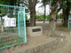宇治公園の画像