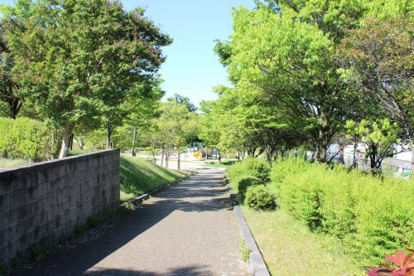 清林パークの画像4