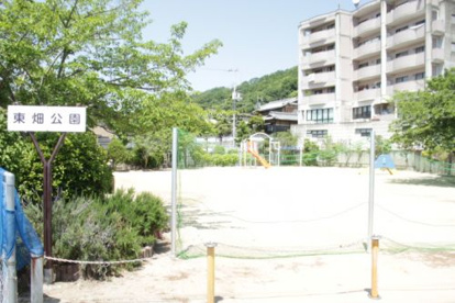 東畑公園の画像2