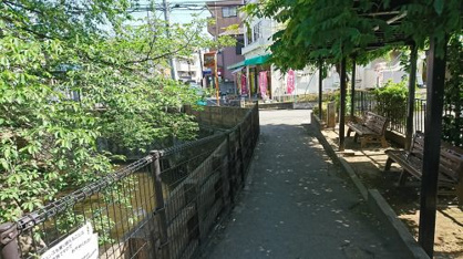 不動橋の画像2