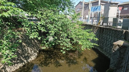 不動橋の画像3