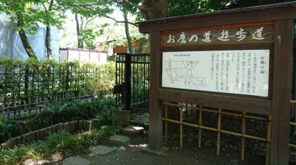 お鷹の道の画像1