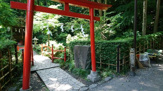 真姿の池