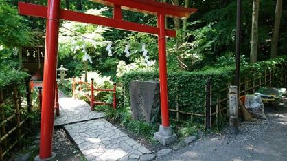 真姿の池の画像1