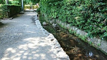 真姿の池の画像3