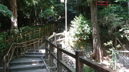 真姿の池の画像4