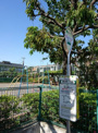 ぶんバス　東元町１丁目