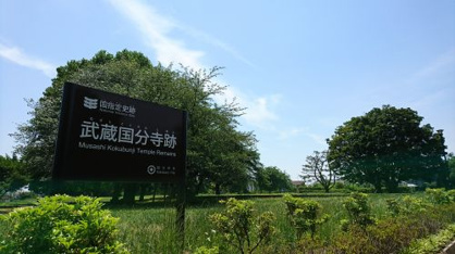 武蔵国分寺の画像3