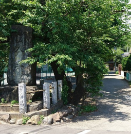 武蔵国分寺の画像4