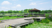舎人公園