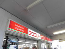 アンスリー 北野田店