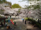 三河台公園の画像
