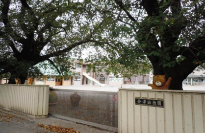 谷津幼稚園の画像1