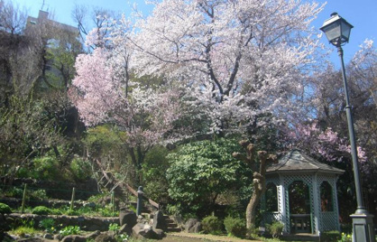 山王花清水公園の画像1