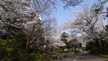 都堀公園の画像1