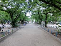 土佐公園の画像1