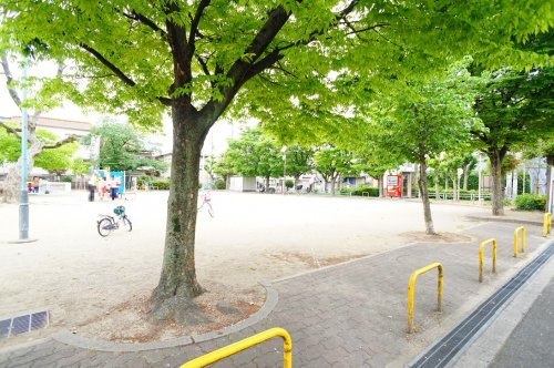 の画像