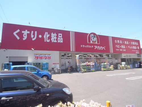 の画像