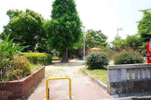 の画像