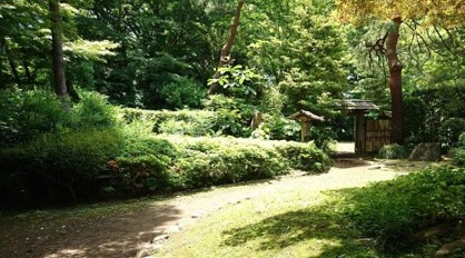 三楽の森の画像3