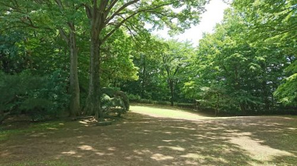 三楽の森の画像4