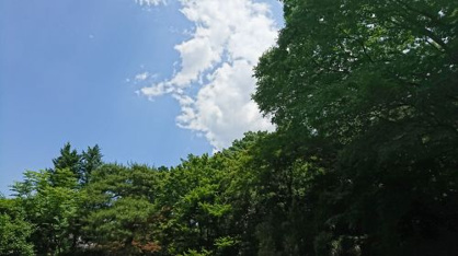 三楽の森の画像5