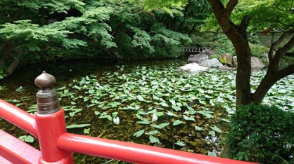 貫井神社の画像3