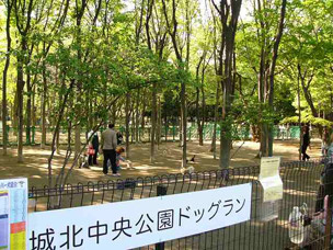 城北中央公園ドッグラン情報ページ 新宿 練馬の戸建 土地 不動産 Arrow Link