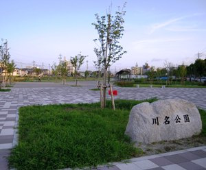 川名公園の画像1