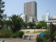 中央公園の画像