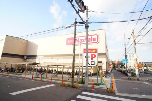 の画像