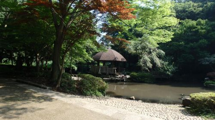 県立東高根森林公園（上）の画像2