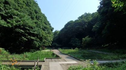 県立東高根森林公園（上）の画像3