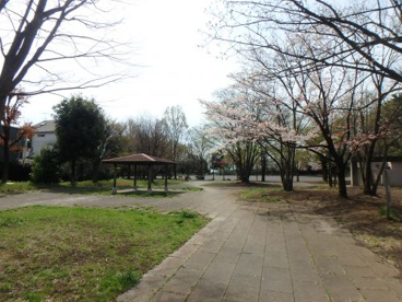 県立東高根森林公園（上）の画像4