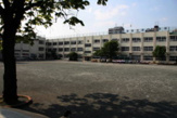 中野区立桃園小学校
