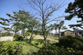 公園 石屋川公園
