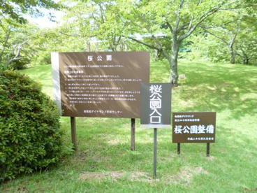 桜公園の画像1