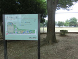 薬円台公園